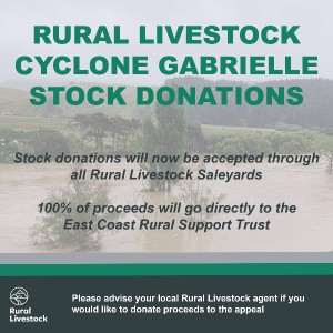RLL Cyclone Gabrielle Relief-726
